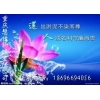 重慶到西安貨運(yùn)公司——專(zhuān)線