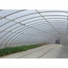 河北溫室大棚施工，春秋用大棚建造，自動化溫室大棚施工【快速get】華亮