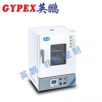 惠州化工廠干燥箱，立式電熱鼓風干燥箱